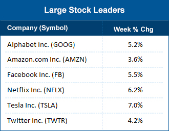 Large stock leaders